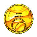 DQIV Casino Tokens .